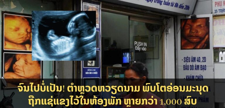 ຕຳຫຼວດຫວຽດນາມ ພົບໂຕອ່ອນ 1,000 ສົບ ແຊ່ແຂງໃນອາພັດເມັ້ນ