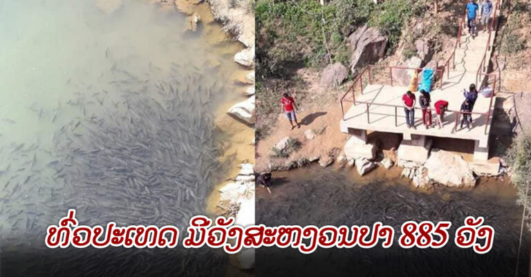 ສປປ ລາວ ມີວັງສະຫງວນປາ 885 ວັງ ກວມເອົາ 308 ບ້ານ ຂອງ 44 ເມືອງ