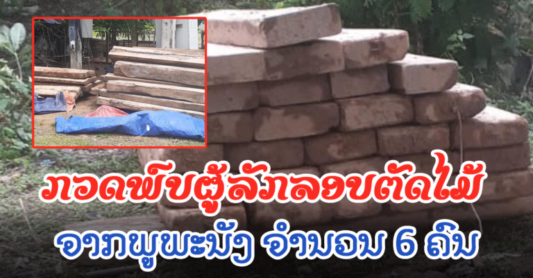 ປກສ ເມືອງສັງທອງ ແລະ ທະຫານເມືອງ ກວດພົບຜູ້ລັກລອບ ຕັດໄມ້ເຂດພູພະນັງ