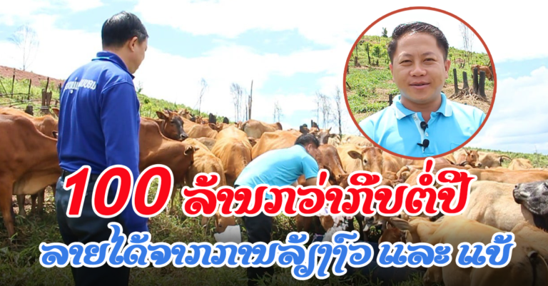 ຕັ້ງໃຈສູ້ຊົນຈົນພາຄອບຄົວມີລາຍໄດ້ 100 ລ້ານກວ່າກີບ ຕໍ່ປີ