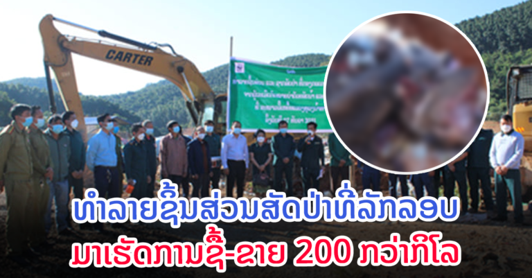 ແຂວງຫຼວງນໍ້າທາ ຍຶດ ແລະ ທໍາລາຍຊິ້ນສ່ວນສັດປ່າ 200 ກວ່າກິໂລ