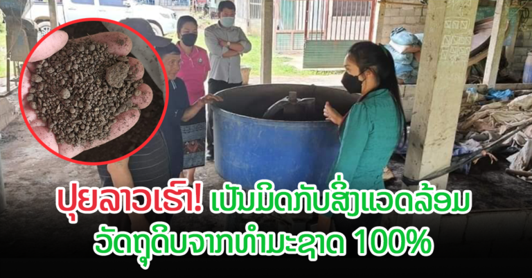 ປຸຍຊີວະພາບ ທີ່ເປັນມິດກັບ ສິ່ງແວດລ້ອມ ແລະ ສິ່ງທີ່ມີຊີວີດຊຶ່ງນຳໃຊ້ວັດຖຸດິບຈາກທຳມະຊາດ 100%￼