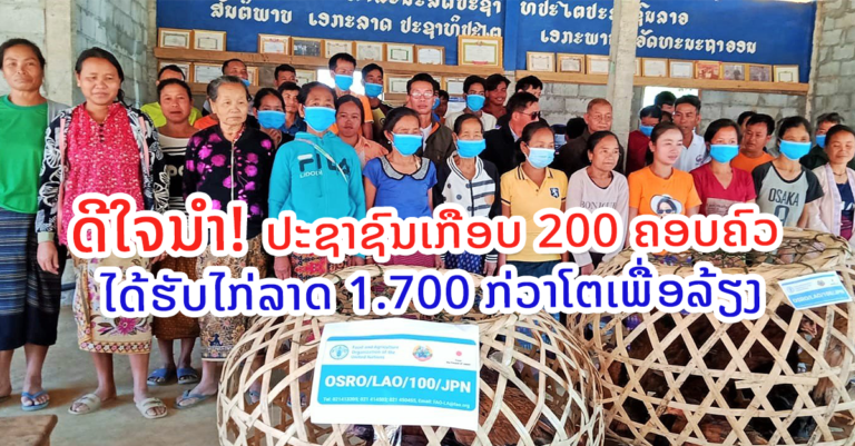 ກຸ່ມລາດແອ່ນ ແລະ ກຸ່ມປາກຈີມລ້ຽງ ເມືອງງອຍ ໄດ້ຮັບໄກ່ລາດ 1.700 ກ່ວາໂຕ