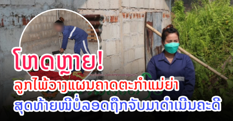 ລູກໄພ້ວາງແຜນຄາດຕະກຳແມ່ຍ່າ