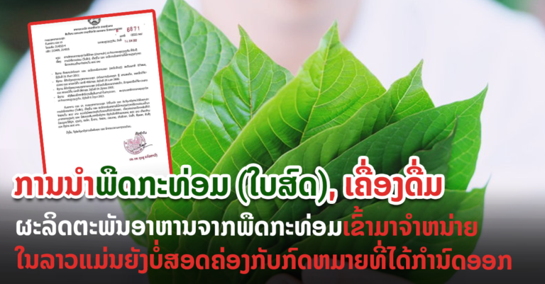 ກະທ່ອມຍັງເປັນພືດທີ່ກົດໝາຍຂອງລາວ ເກືອດຫ້າມ ບໍ່ອະນຸຍາດໃຫ້ປູກ, ປຸງແຕ່ງ, ຄອບຄອງ