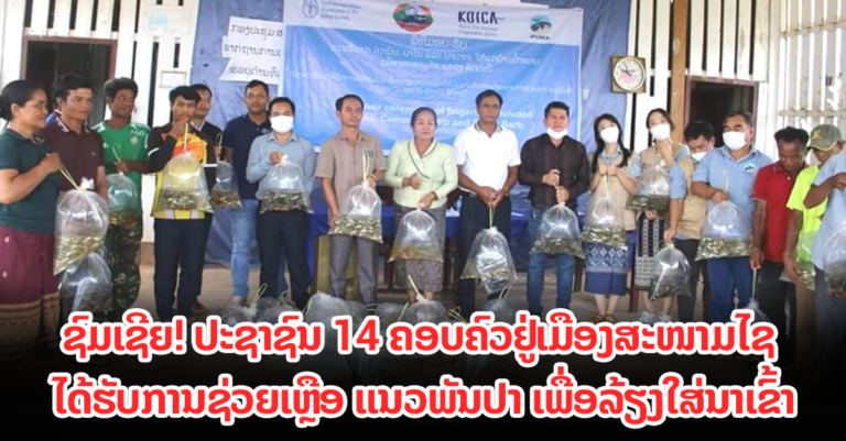 ປ່ອຍແນວພັນປາ ເພື່ອລ້ຽງໃສ່ນາເຂົ້າ