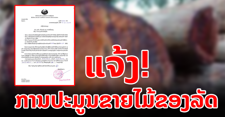 ການປະມູນຂາຍໄມ້ຂອງລັດ