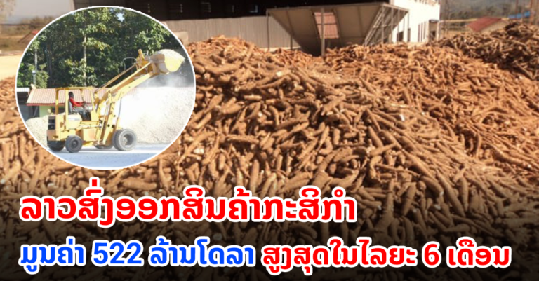 3 ສິນຄ້າກະສິກຳ ທີ່ສົ່ງອອກຫຼາຍກວ່າໝູ່ ມີມູນຄ່າສູງເຖິງ 522 ລ້ານໂດລາ