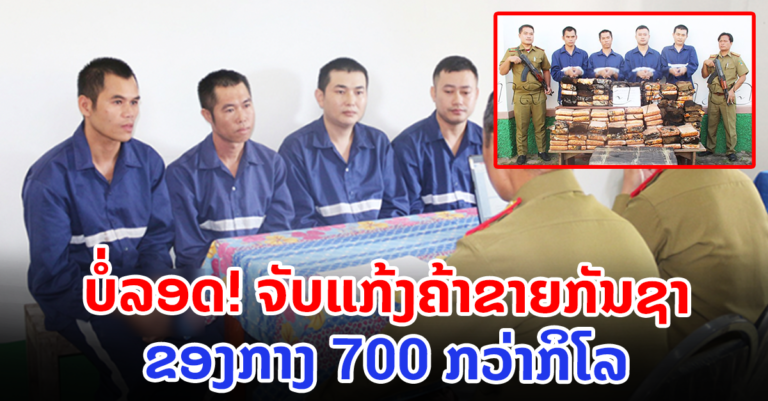 ມ້າງກຸ່ມແກ້ງຄ້າ-ຂາຍຢາເສບຕິດ ປະເພດກັນຊາອັດແທ່ງໄດ້ 722 ກິໂລກຼາມ