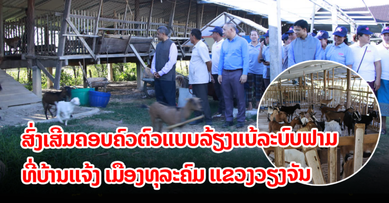 ມອບ-ຮັບ ໂຄງການສົ່ງເສີມຄອບຄົວຕົວແບບລ້ຽງແບ້ລະບົບຟາມ