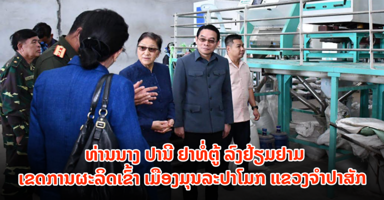 ຮອງປະທານປະເທດ ຢ້ຽມຢາມເຂດການຜະລິດເຂົ້າ